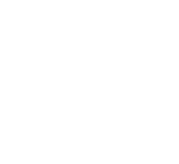Florida's Mobile Notary Guy's Logo - White